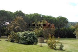 Casa Violina 30 sett. 2016 047
