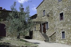 Renaiolo (5 von 27)