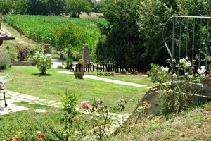 esterna 3 santa Maria