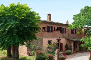 Marciano2